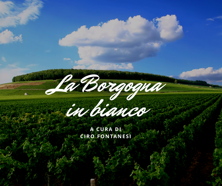 Locandina La Borgogna in bianco.PNG